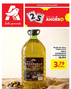 Portada del folleto Alcampo