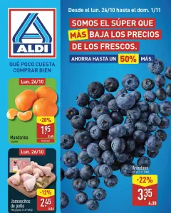 Portada del folleto Aldi